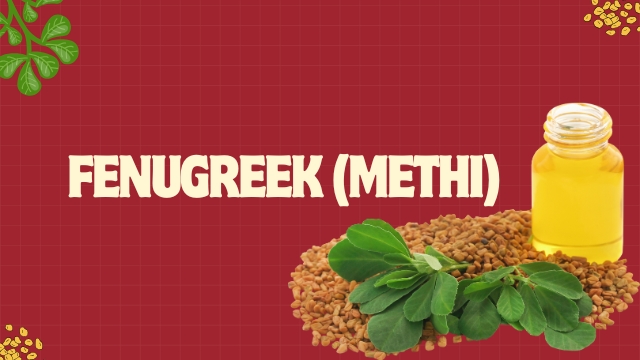 FENUGREEK (METHI)