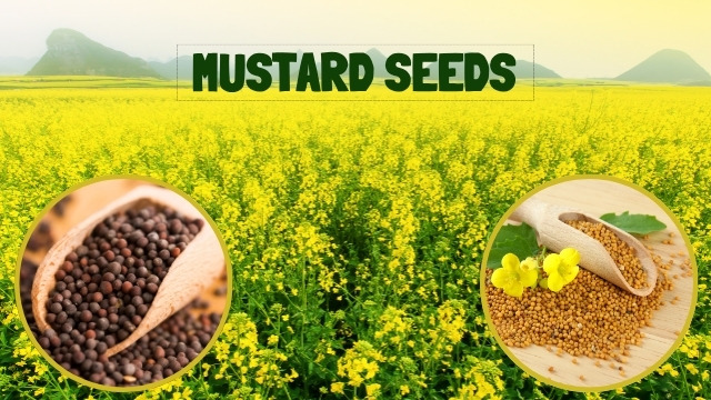 Mustard Seeds